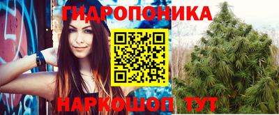винт Шахты