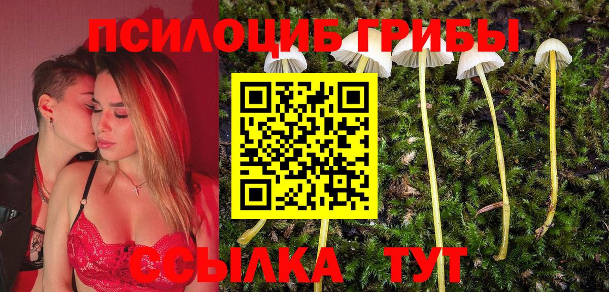 Галлюциногенные грибы Psilocybine cubensis  Вход с VPN  Галлюциногенные грибы мухоморы  Ивантеевка 