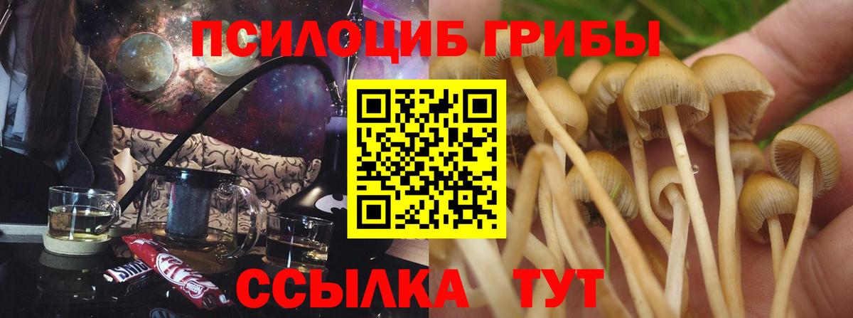 Галлюциногенные грибы GOLDEN TEACHER Ивантеевка